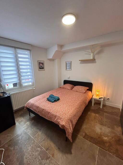La Ptite Albi Home Nancy Extérieur photo