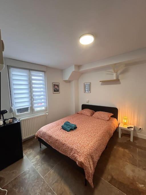 La Ptite Albi Home Nancy Extérieur photo